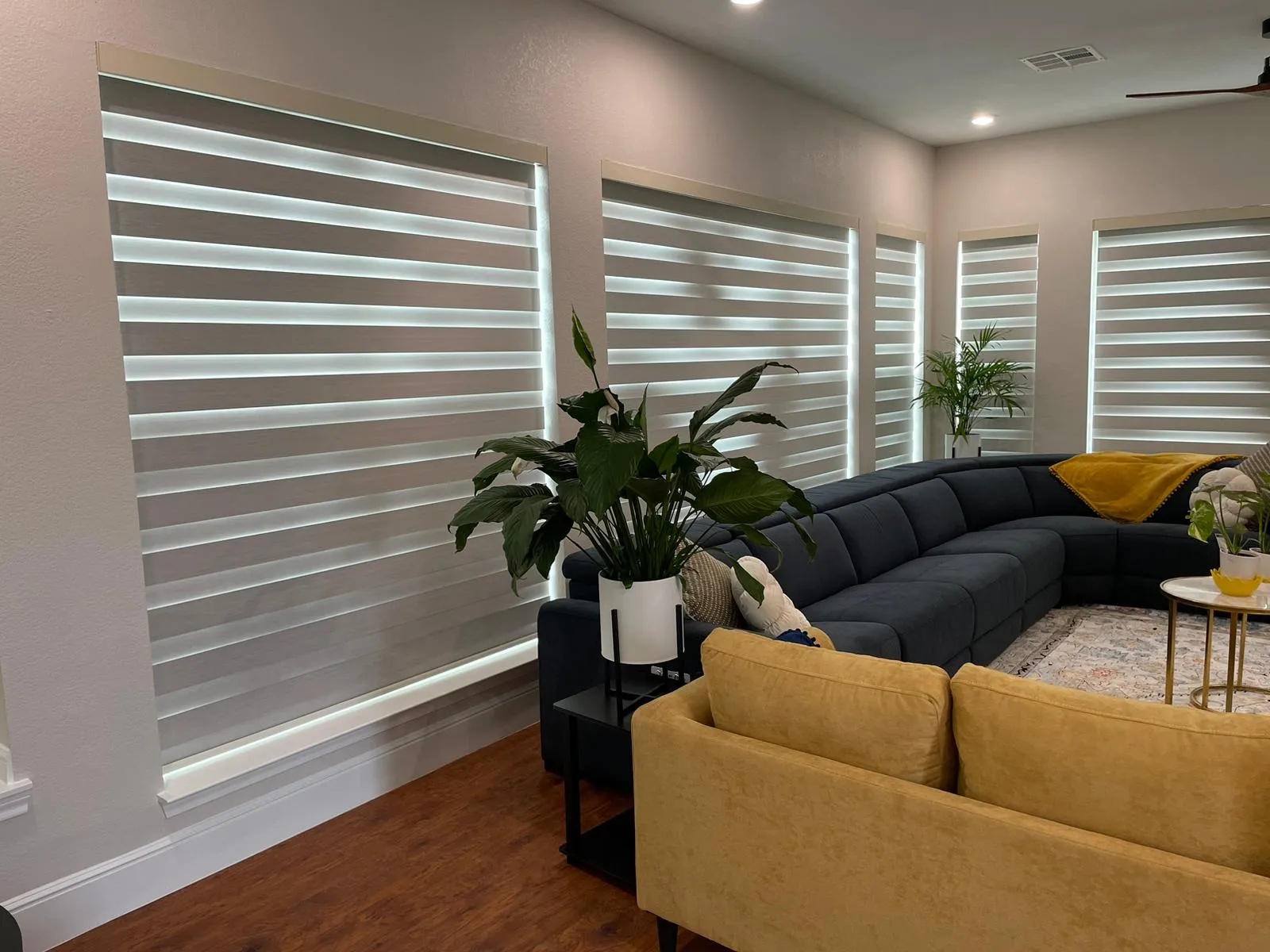 Custom Cellular Shades for Energy Efficiency and Style | Shadeotech 6 %Affordable Window Coverings%