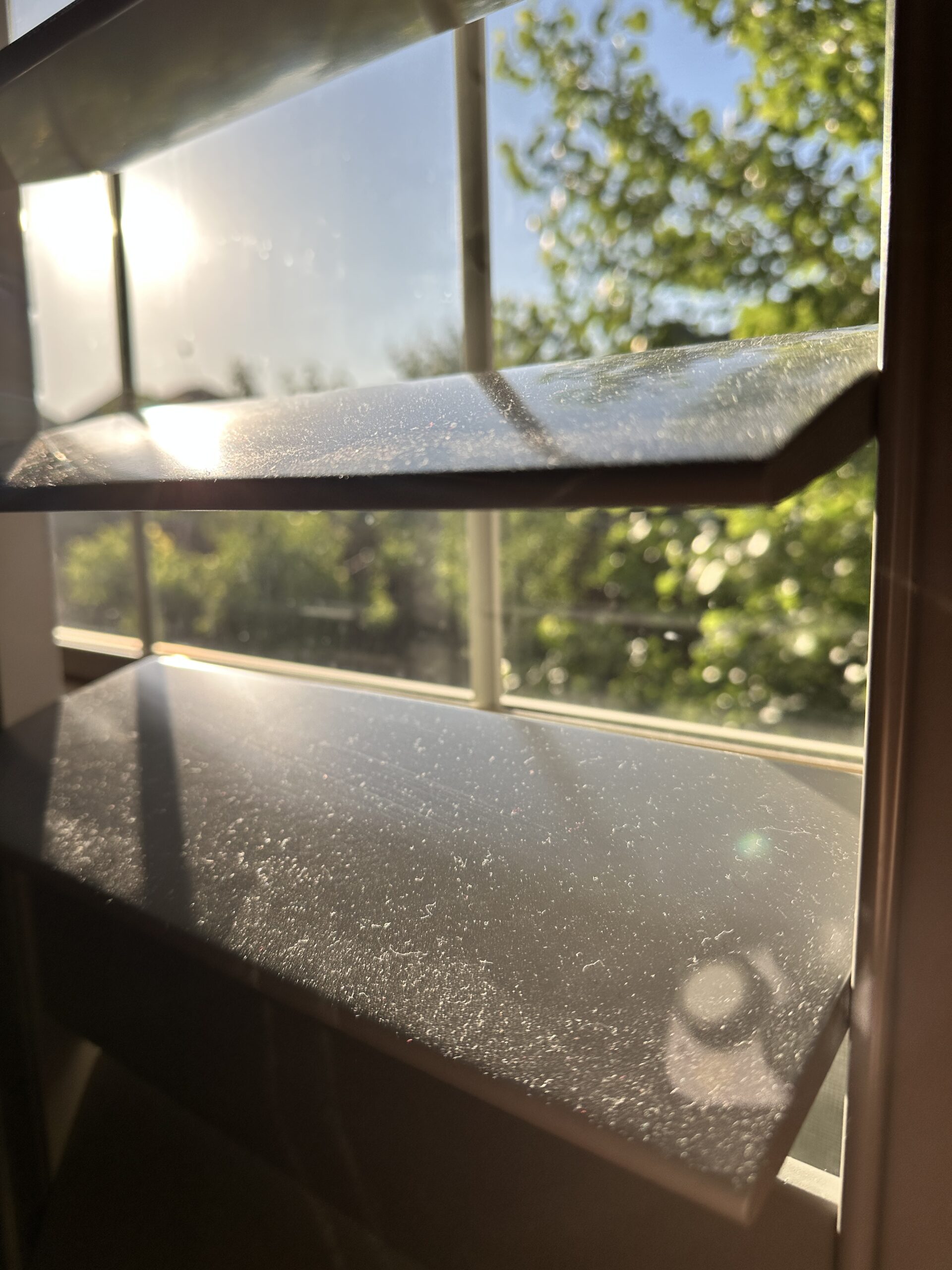 Motorized Shades vs Shutters: Why Shutters Are Out