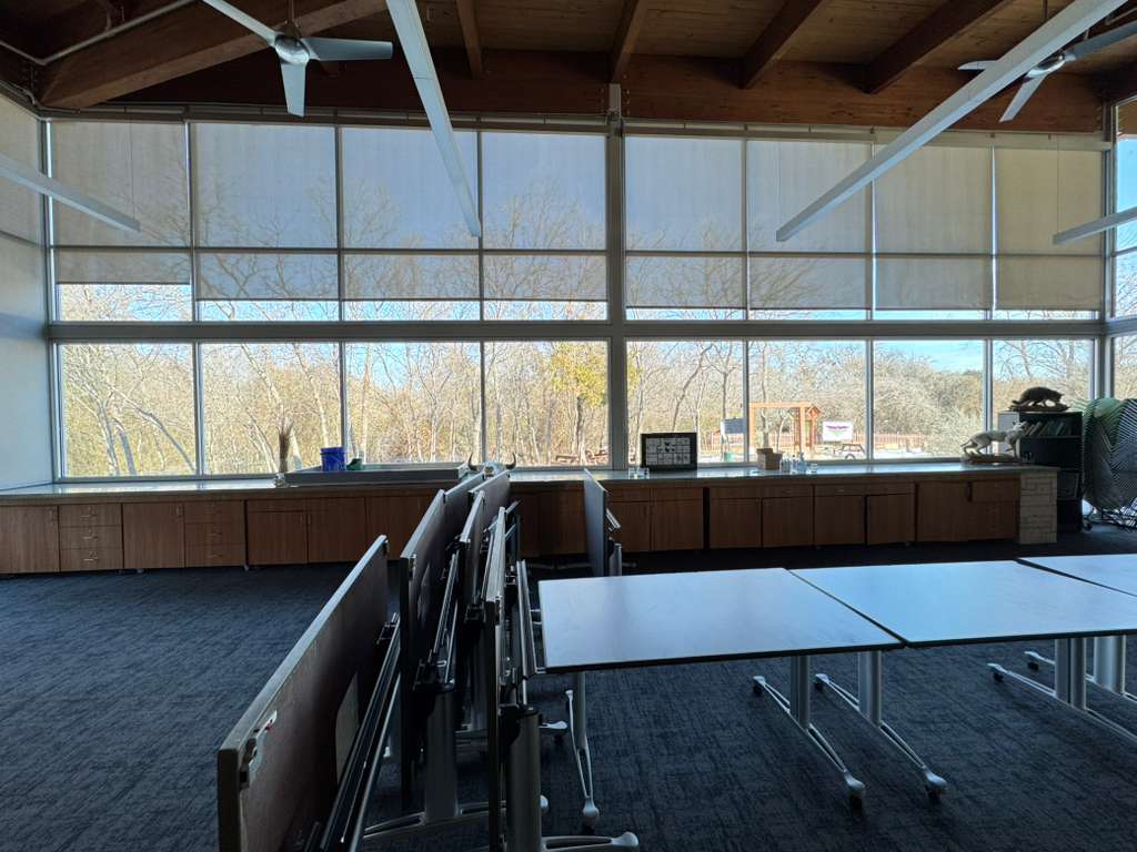 Shades lowered to an even line across the window wall of a city animal research center